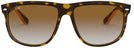 RB4147 - Brown Gradient